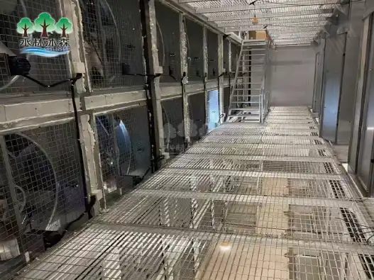 What are recommended anti-rust treatments for metal broiler cages?